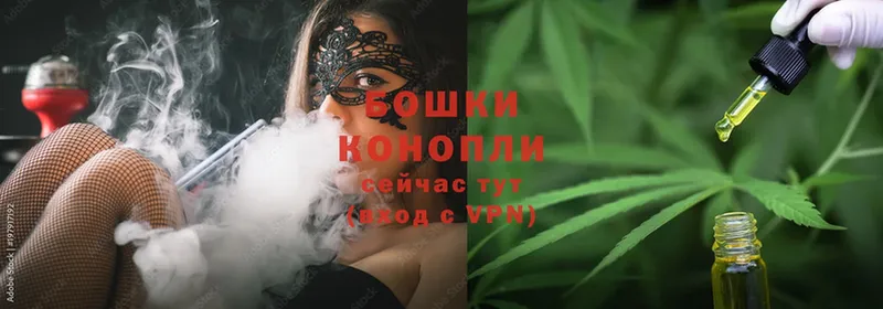 Каннабис SATIVA & INDICA  Асино 